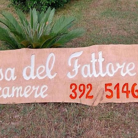 Casa Del Fattore โอซิโม ภายนอก รูปภาพ
